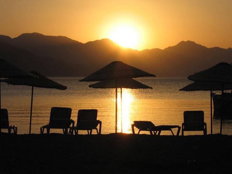 Zeybek Hotel Turunç Dış mekan fotoğraf